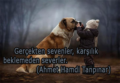 Hayatın Bize Öğrettiği Şeyler Nelerdir?