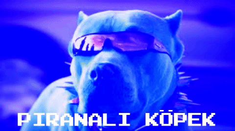 Uzunlara İnat Kısa Boylu Olmanın Avantajları Nelerdir?