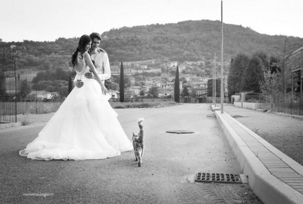 Damatların Yerine Geçmeye Çalışan Kedilerin Gelinlerle Olan Tatlı Fotoğrafları