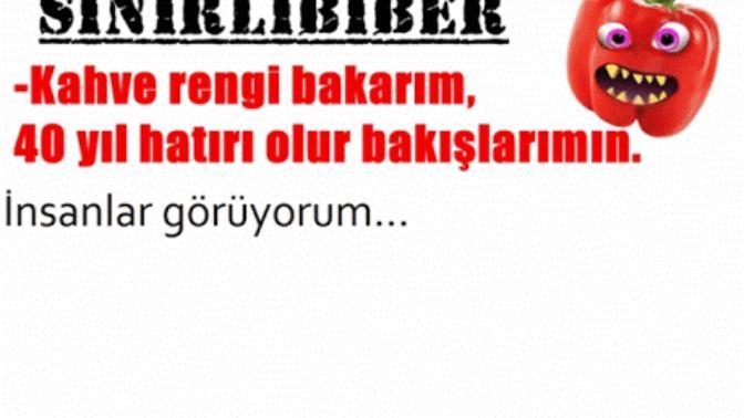 2014'ten Günümüze KizlarSoruyor Macerası!