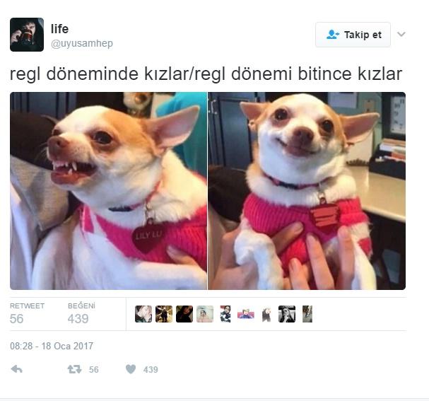 Kadınların Regl Dönemlerini Biraz Mizah Biraz Gerçeklikle Anlatan Muhteşem Tweetler!