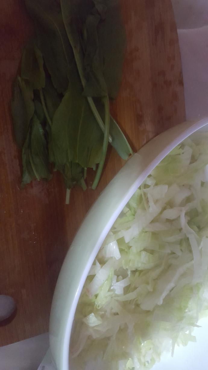 Herkesin Mutfağında Olan Bir Lezzet: Mevsim Salatası Nasıl Yapılır?