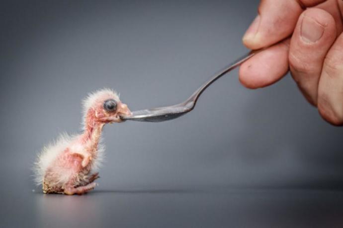 İyilik Yapan, İyilik Bulur mu?