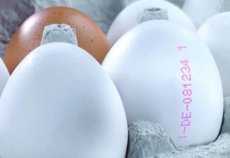 Sağlık Alarmı: Yumurtalar ve Üzerlerinde Bulunan Kodlamalar