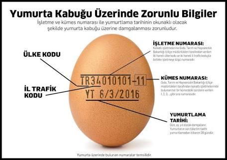 Sağlık Alarmı: Yumurtalar ve Üzerlerinde Bulunan Kodlamalar