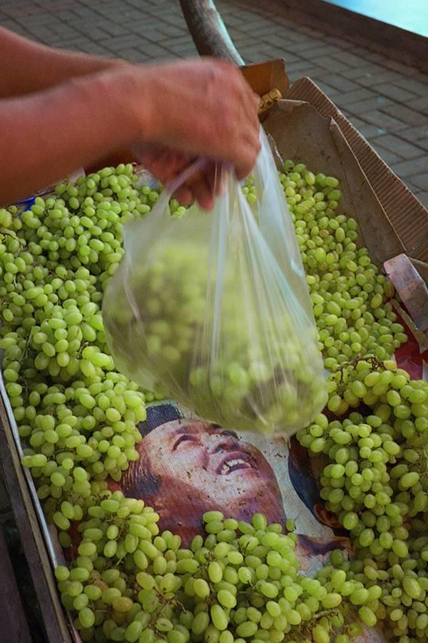 Doğru Zamanda Yakalanmış Görseller ve Bize Anlattıkları!