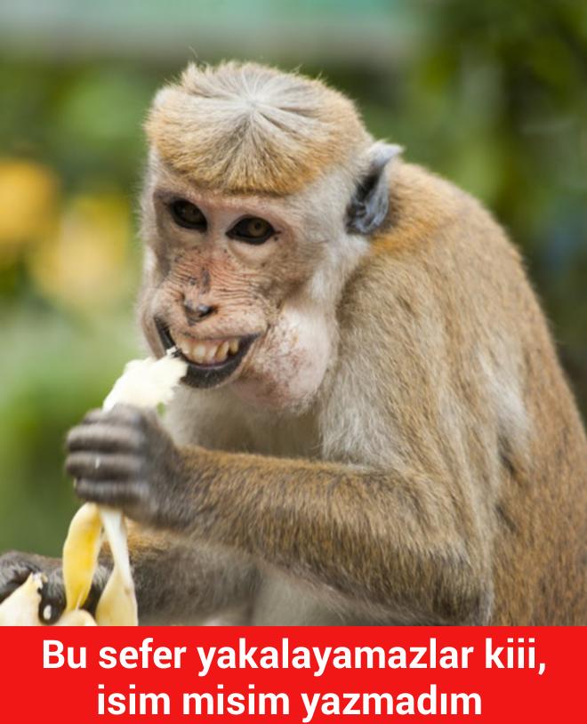 Üyeleri Hedef Alan Paylaşım Nedir, Ne Değildir?