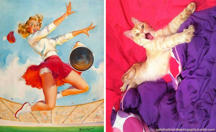 Pin-Up Kızlarına Rakip Olarak Doğmuş Birbirinden Tatlı Kedi Pozları!