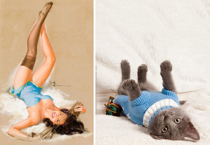 Pin-Up Kızlarına Rakip Olarak Doğmuş Birbirinden Tatlı Kedi Pozları!