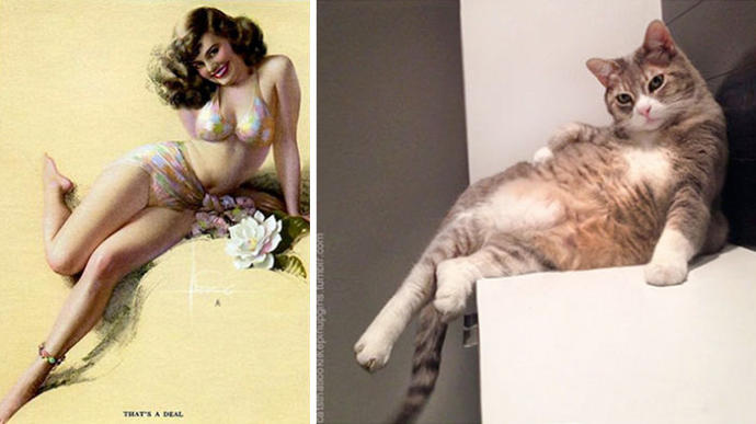 Pin-Up Kızlarına Rakip Olarak Doğmuş Birbirinden Tatlı Kedi Pozları!