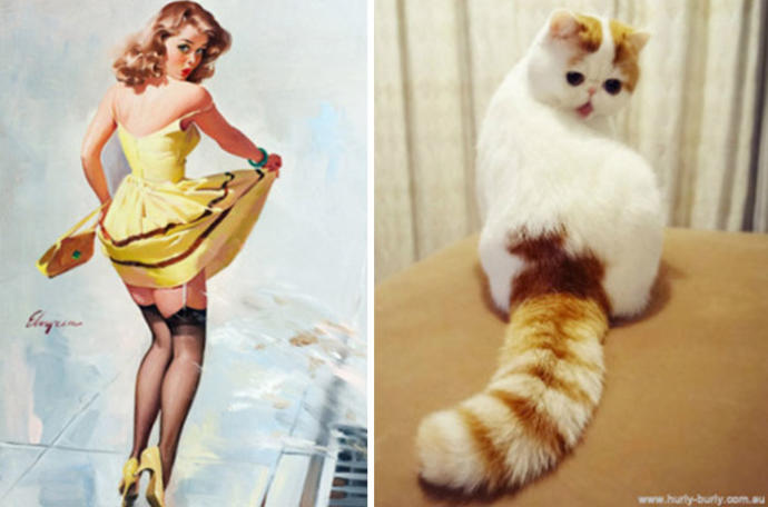 Pin-Up Kızlarına Rakip Olarak Doğmuş Birbirinden Tatlı Kedi Pozları!