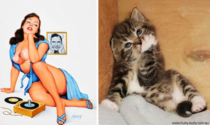 Pin-Up Kızlarına Rakip Olarak Doğmuş Birbirinden Tatlı Kedi Pozları!