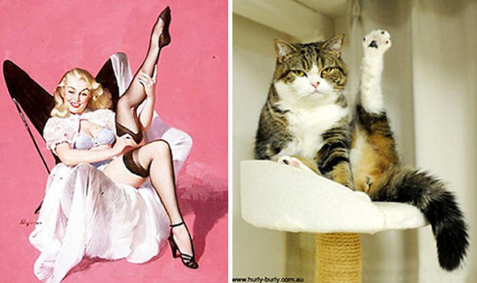 Pin-Up Kızlarına Rakip Olarak Doğmuş Birbirinden Tatlı Kedi Pozları!