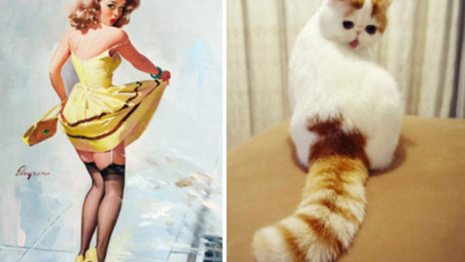 Pin-Up Kızlarına Rakip Olarak Doğmuş Birbirinden Tatlı Kedi Pozları!