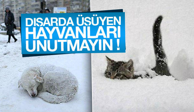 Dünyada Yalnız Değiliz!