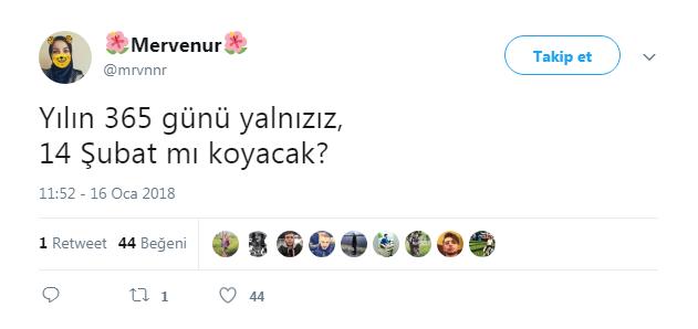 14  Şubat  Geliyor! Yalnızların "Yıkılmadım Ayaktayım" Direnişinden Yürek Burkan Son Durumlar