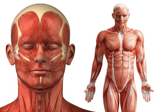 Kilo Vermek İçin Motivasyon Nasıl Sağlanır?