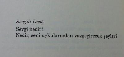 Gerçek Sevgi Nedir?