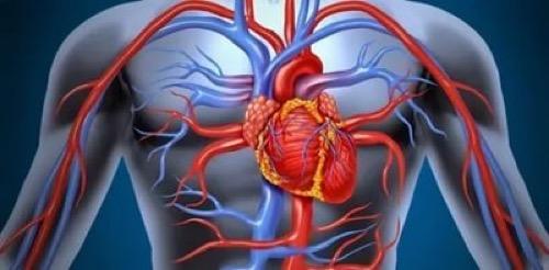 Sigaranın Sağlık Açısından Zararları Nelerdir?