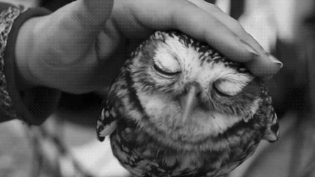 Toplumu Acilen İstila Etmesi Gereken 5 İnsan Tipleri Kimlerdir?