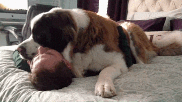 Pet Shoplardan Satın Almak Yerine Sokaktan Kedi & Köpek Sahiplenmek İçin Sebepler Nelerdir?