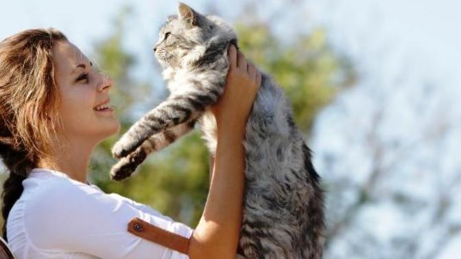 Pet Shoplardan Satın Almak Yerine Sokaktan Kedi & Köpek Sahiplenmek İçin Sebepler Nelerdir?