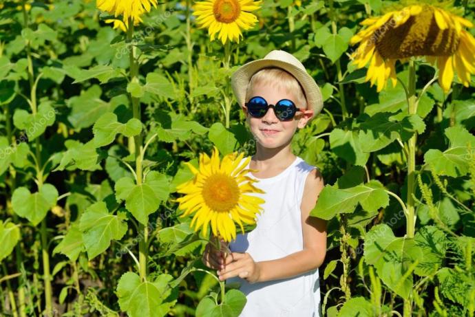 Açık Alanda En İyi Fotoğraflar İçin Fotoğraf Makinası Ayarları Nelerdir?