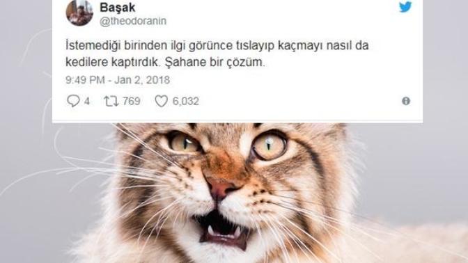 "Nasıl Kaptırdık?" Kalıbı ile Pişmanlıklarımızı Özetleyen Tweetler!