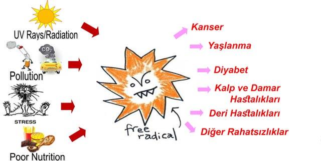 Günümüzün Hastalığı Kanserden Korunmanın Yolları Nelerdir?