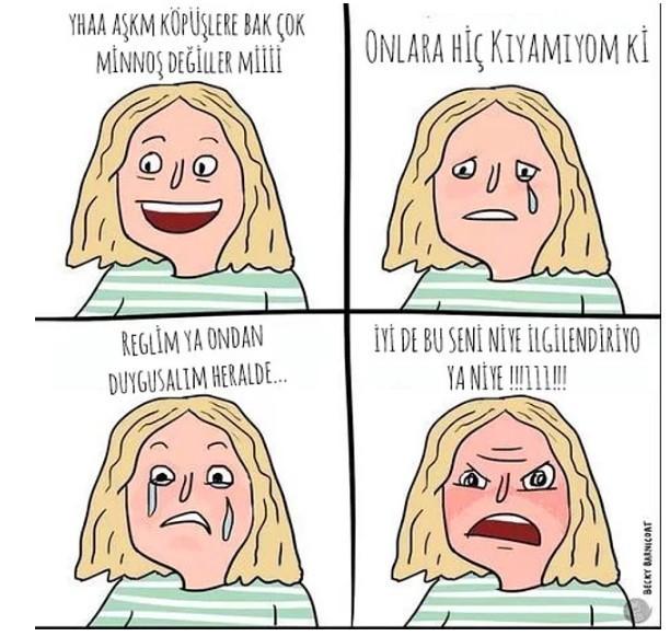 Gören Kızların Bu Tam Olarak Benim Diyeceği, Regl Dönemi Sorunlarını Anlatan Regl Karikatürleri!