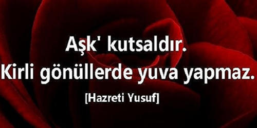 Aşk Hakkında Söylenmiş En Özlü Sözler ve Yapılmış Yorumlar