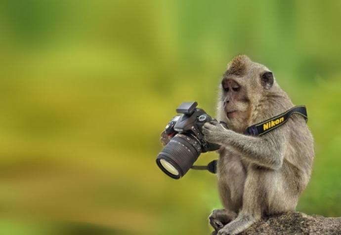 Profesyonel Fotoğrafçılık İçin İhtiyacınız Olan 3 Şey Nedir?