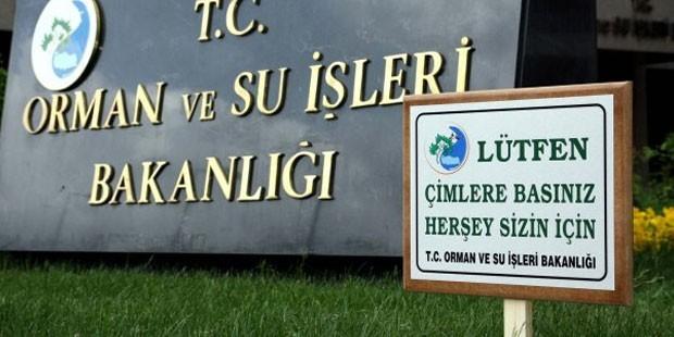 Eğitimin Şart Olduğunu Kanıtlayan Toplumsal Manzaralar!