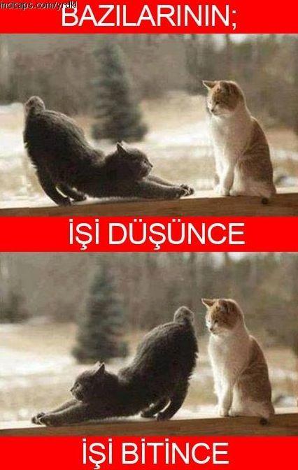 Yaşam Alanımızı Kısıtlayıp, Zorlaştırmakta Bir Numara Olan İnsan Tipleri Nelerdir?
