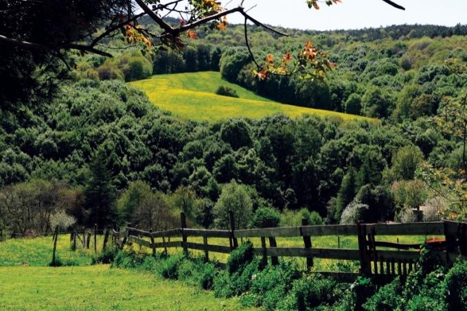 Sevgilimle Trekking Yapmak İstiyoruz, Bunun İçin İstanbul'da Uygun Parkur Var mıdır?