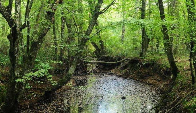 Sevgilimle Trekking Yapmak İstiyoruz, Bunun İçin İstanbul'da Uygun Parkur Var mıdır?
