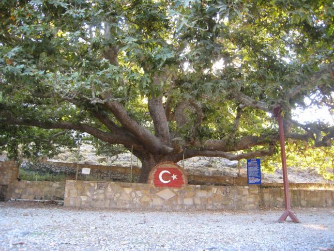 Bir Koca Dünya: Gökçeada Turu