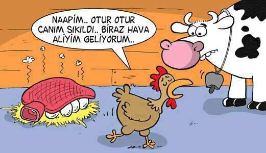 Can Sıkıntınızı Kökten Çözüme Kavuşturmanın En Başarılı Yöntemleri Nelerdir?
