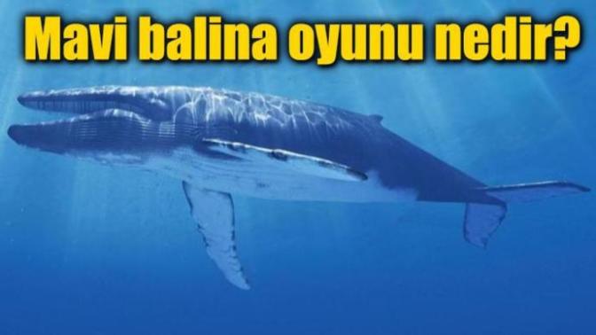 Tehlike Saçan Oyun "Mavi Balina" Nedir?