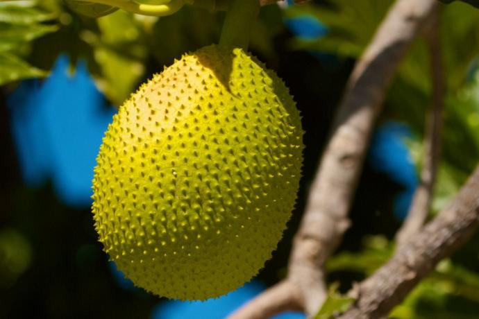 Bilekte Pantolon Giyen Erkekler Yaşadı, Ülkelerin Şok Eden Cinsellik Bilgileri!