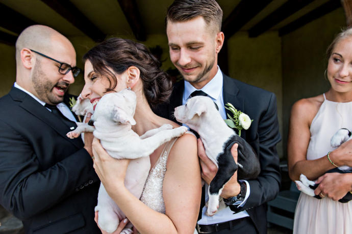 Gelin Buketi Yerine Sahiplendikleri Minnoş Köpekler İle Düğün Fotoğrafı Çektiren Tatlı Çift!