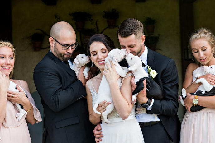Gelin Buketi Yerine Sahiplendikleri Minnoş Köpekler İle Düğün Fotoğrafı Çektiren Tatlı Çift!