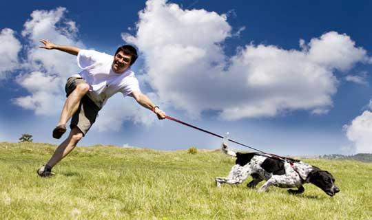 Köpeğiyle Birlikte Koşmak İsteyenlere Tavsiyelerim!