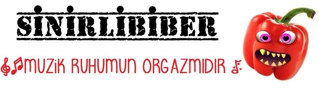 Hayatınızda bir kez de olsa dinlemeniz gereken şarkılar.. BÖLÜM 1