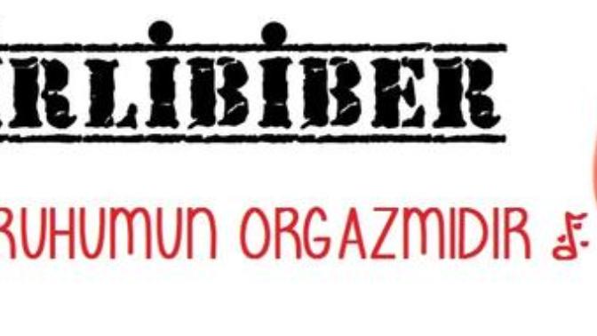 Hayatınızda bir kez de olsa dinlemeniz gereken şarkılar.. BÖLÜM 1