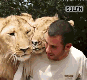 Aslan Burcunun Karakteristik Özellikleri Nelerdir?