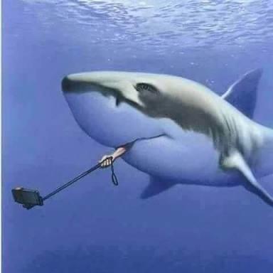 Selfie Derdiyle Meydana Gelen Yaralanmalar Ve Ölümlü Kazalar