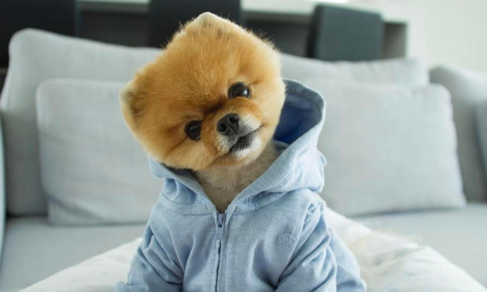 İçimdeki Köpek!