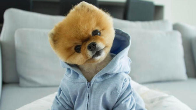 İçimdeki Köpek!