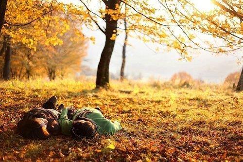 Beni Yargılamayın, Asın!